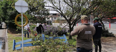 236 intervenciones se realizaron en el barrio Sindical: Dagma al Barrio