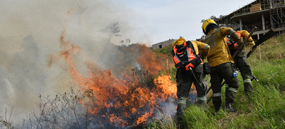 &ldquo;Todos estos incendios son provocados en forma dolosa&rdquo;: Rodrigo Zamorano