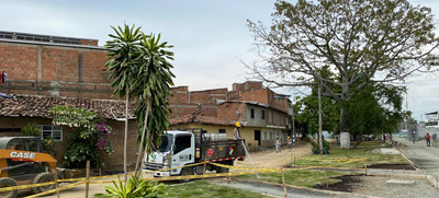 Comenz&oacute; el traslado de &aacute;rboles en el Bulevar de Oriente