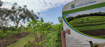 Las abejas: segundas mejores amigas de la humanidad