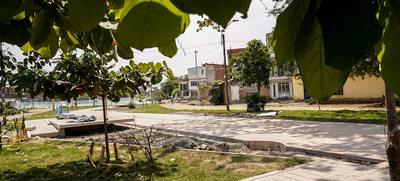 El verde es el color que predomina en el Bulevar de Oriente