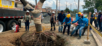 Alcald&iacute;a de Cali realiz&oacute; traslado de &aacute;rboles al Bulevar de Oriente