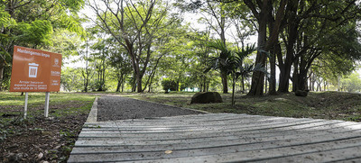 Red de Bosques Urbanos, un tesoro construido por cale&ntilde;os y cale&ntilde;as