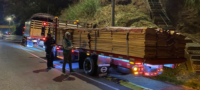 Contin&uacute;an operativos de vigilancia y control al tr&aacute;fico y transporte de madera