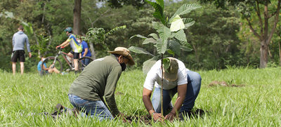 Siembra de plantas, limpieza y &lsquo;parche r&iacute;o&rsquo;, este s&aacute;bado en Pilas del Cabuyal