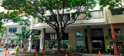 El Dagma realiza mantenimiento preventivo en &aacute;rboles de la Avenida Sexta
