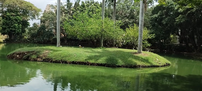 Dagma mejorar&aacute; condiciones ecol&oacute;gicas de humedal El Retiro