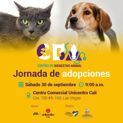Centro de Bienestar Animal realizar&aacute; jornada de adopciones