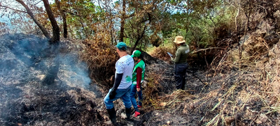Dagma realiz&oacute; verificaci&oacute;n de afectaciones tras incendio en cerro La Bandera