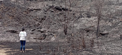 Incendios forestales arrasan la vida y desplazan la fauna en monta&ntilde;as de Cali
