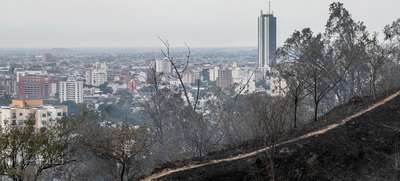Alentadora jornada para sofocar incendio forestal