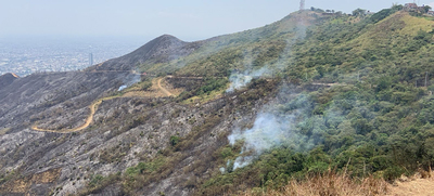Jornada de limpieza y riego en sector del cerro Altos de Menga y Guacas, afectados por incendio forestal