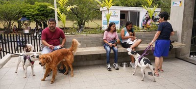 Cali celebr&oacute; el D&iacute;a Mundial de los Animales con servicios gratuitos para los consentidos del hogar