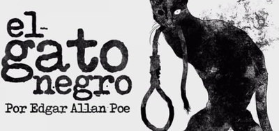 Un gato negro asusta en Felidia