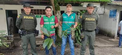 Dagma implementa control especial a la extracci&oacute;n ilegal de recursos naturales