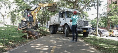Contin&uacute;an labores de mejoramiento de cicloinfraestructura en el sur de Cali