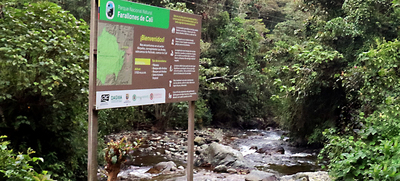La Alcald&iacute;a de Santiago de Cali y la Gobernaci&oacute;n del Valle del Cauca desarrollan acciones conjuntas para atacar delitos ambientales en los Farallones