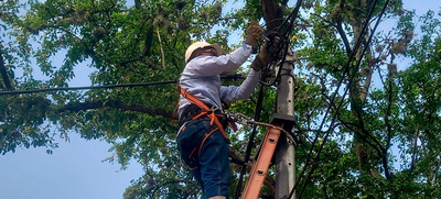 Esta es la agenda de trabajos de Emcali en energ&iacute;a y acueducto