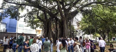 Dagma socializ&oacute; con la comunidad el proceso de intervenci&oacute;n de un &aacute;rbol de caucho en el Parque del Perro