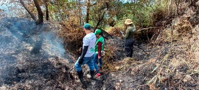 Trabajo en equipo permiti&oacute; controlar incendio forestal en la zona de Pance