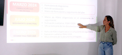 Se present&oacute;, ante Ministerio de Educaci&oacute;n Nacional, el Plan Operativo Anual de Inspecci&oacute;n y Vigilancia de la Secretar&iacute;a de Educaci&oacute;n de Cali