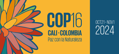 El nombre de Cali ya est&aacute; en el logo de la COP16 y se visibilizar&aacute; en el mundo entero