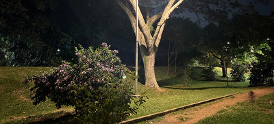 Proceso de instalaci&oacute;n de luminarias led en el parque El Ingenio completa 30% de avance en menos de 15 d&iacute;as