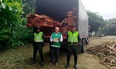 Contin&uacute;an las acciones del Dagma y la Polic&iacute;a Ambiental contra el tr&aacute;fico ilegal de flora silvestre