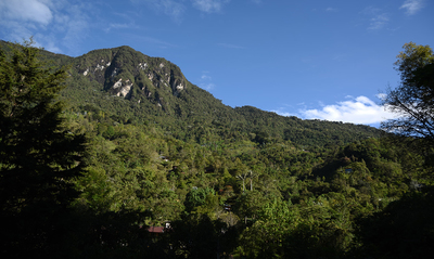 Se alista el Primer Foro Nacional de Turismo de Naturaleza Regenerativo, en preparaci&oacute;n para la COP16