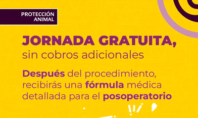 Del 27 al 31 de agosto, participa en las jornadas de esterilizaci&oacute;n de mascotas 