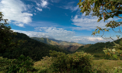 La Secretar&iacute;a de Cultura de Cali abre Concurso de Cuento Corto Ambiental para promover la biodiversidad en la escritura