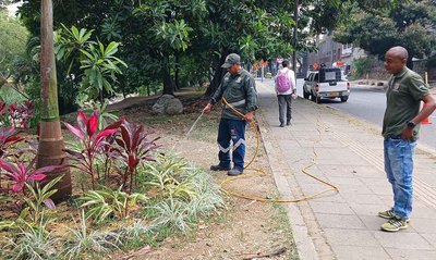 Con 30 nuevos jardines, avanza el plan de recuperaci&oacute;n ambiental previo a la COP16