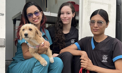 &iexcl;Jornadas de Esterilizaci&oacute;n Gratuitas en Cali!