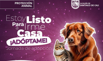&iexcl;Cambia una vida y llena la tuya de amor! Jornadas de adopci&oacute;n este fin de semana en Cali
