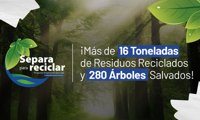 M&aacute;s de 16 toneladas de residuos reciclados y 280 &aacute;rboles salvados, gracias  al programa &lsquo;Empezando por Casa&rsquo;