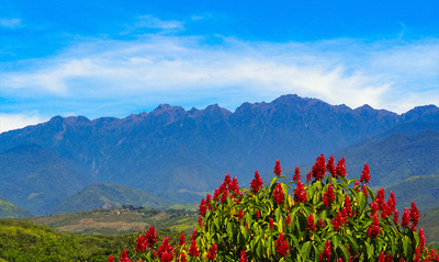 Vive un d&iacute;a de deporte, cultura y naturaleza en el Farallones Fest 2024