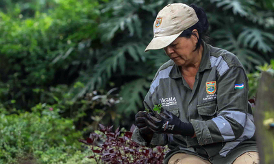 El Dagma lidera acciones para preservar la naturaleza con miras a Semana Santa: se entregar&aacute;n 2000 plantas ornamentales