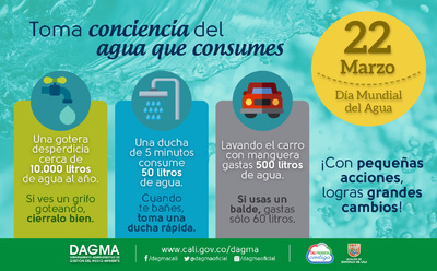 D&iacute;a Mundial del Agua