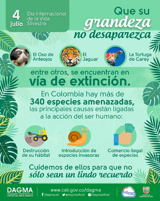 D&iacute;a Internacional de la Vida Silvestre