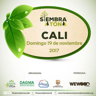 Siembrat&oacute;n Cali