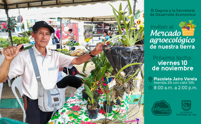 Mercado Agroecol&oacute;gico de Nuestra Tierra