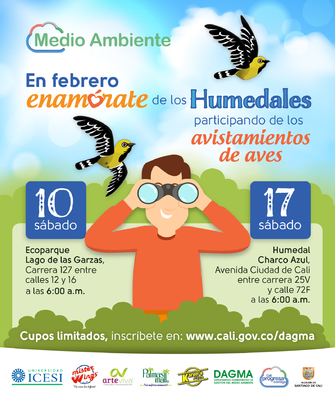 Avistamientos de aves