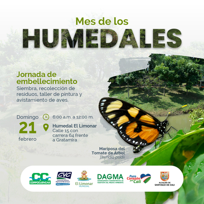Jornada de embellecimiento