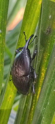 Espacios para la vida: Ecoparques y predios de conservaci&oacute;n