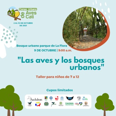 Taller presencial: Las aves y los bosques urbanos