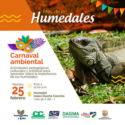 Carnaval Ambiental