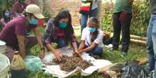 Capacitaci&oacute;n alimentaci&oacute;n de microorganismos