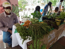 Mercado agroecol&oacute;gico