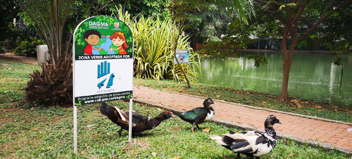Grupo: Adopci&oacute;n de zonas verdes