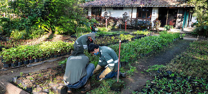 Grupo: Vivero Distrital de &Oacute;scar Rojas